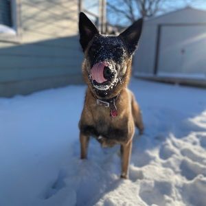 Meet your Posher, Kaitlyn